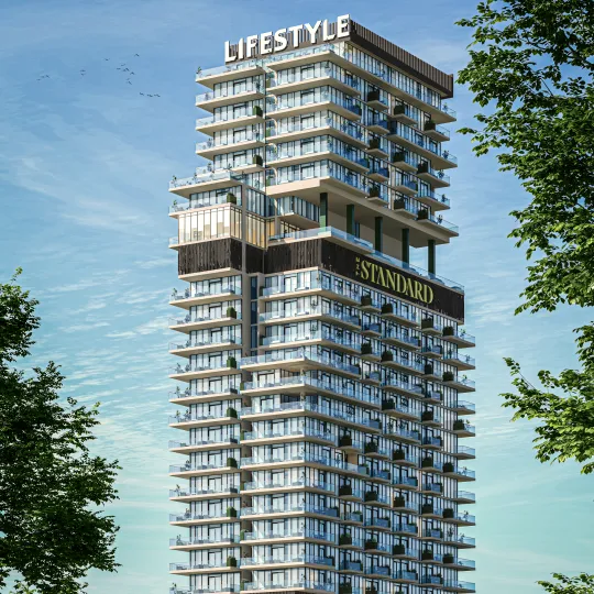 Project Gallery Image